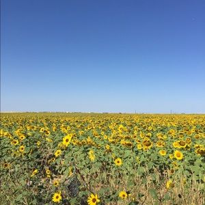 Meet your Posher, Rita